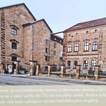 Vichova Vila_1935 - Funkcionalisticky Skvost V Horicich V Podkrkonosi